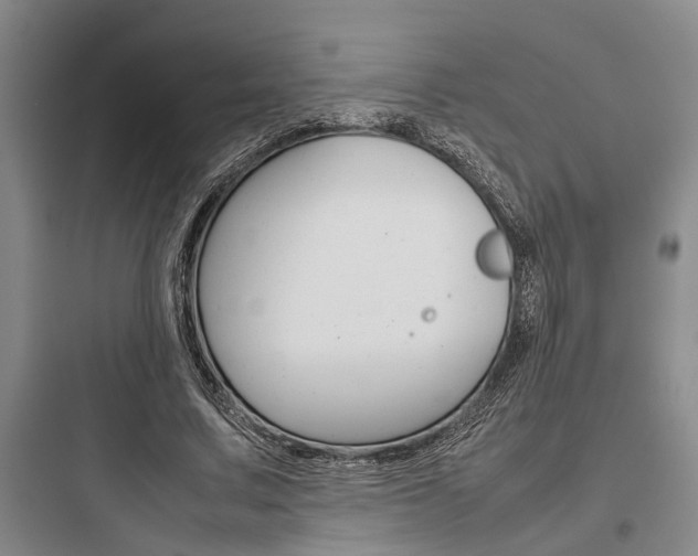 X0000097960683200803241042
