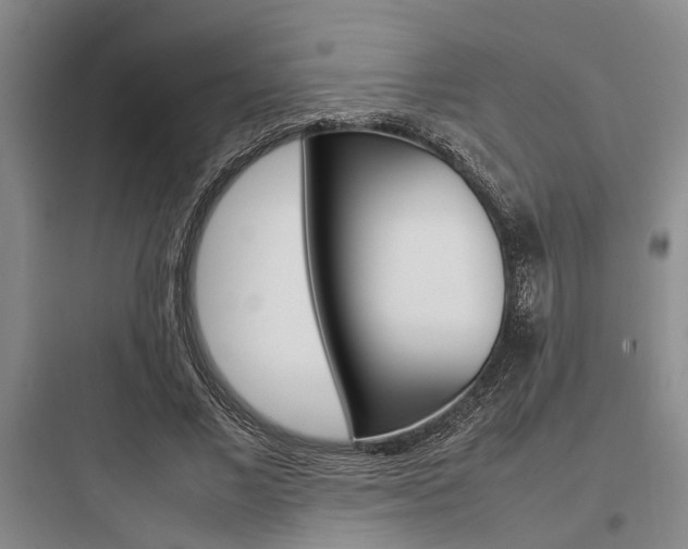 X0000097960685200803241042