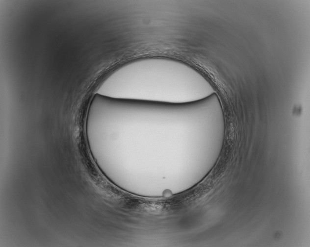 X0000097960687200803241042