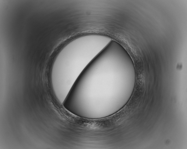X0000097960688200803241042