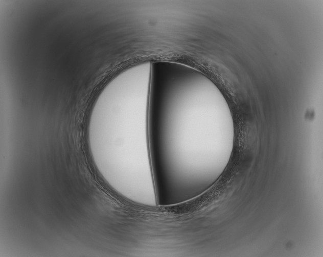 X0000097960689200803241042