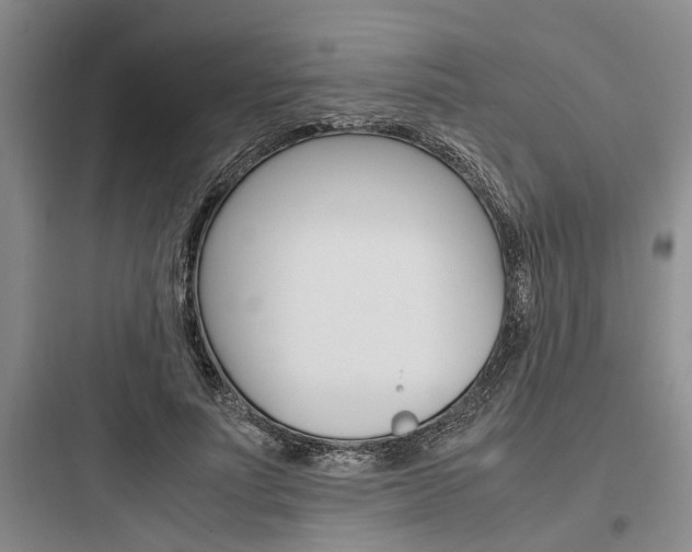 X0000097960691200803241042