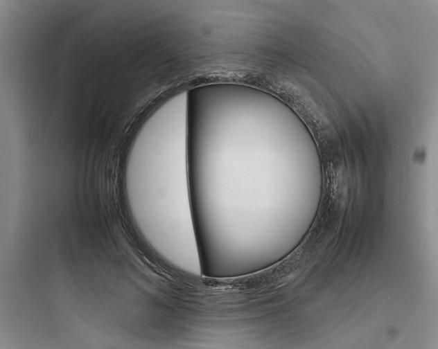 X0000097960692200803241042