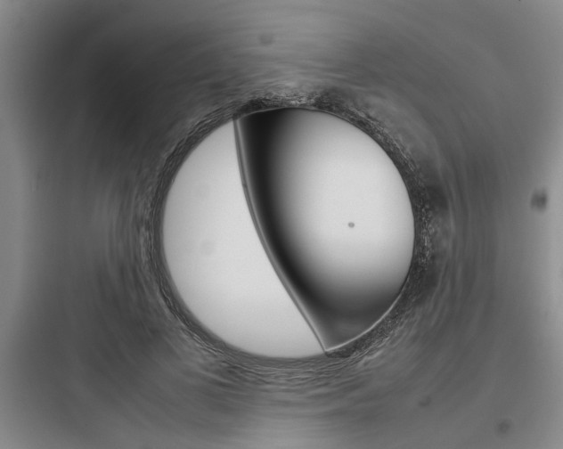 X0000097960693200803241042