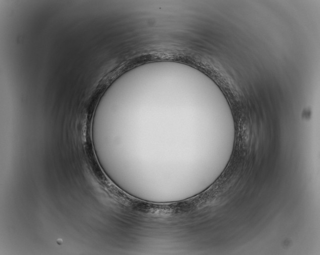 X0000097960694200803241042