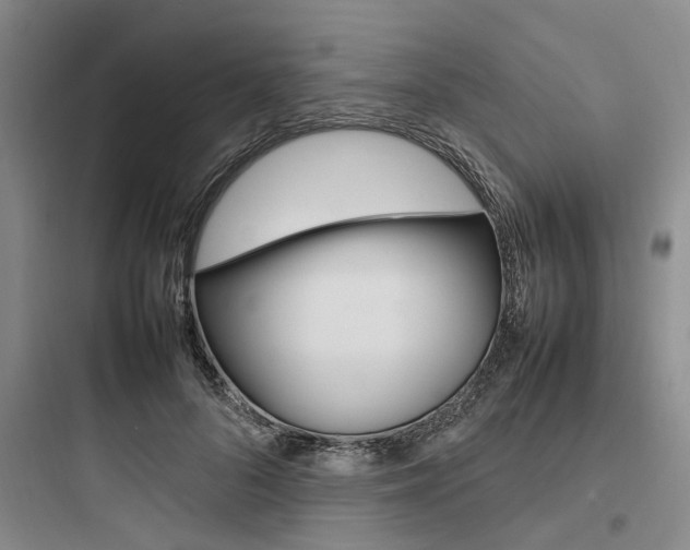 X0000097960696200803241042