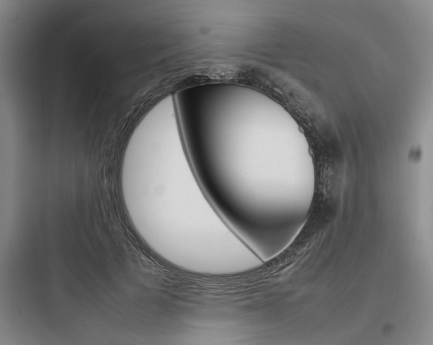 X0000097960697200803241042