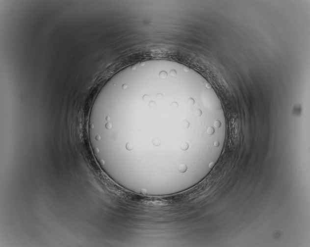 X0000097960698200803241042