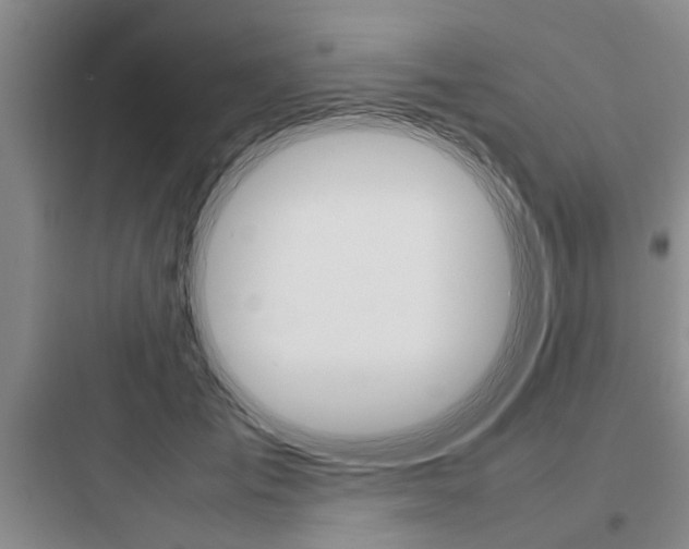 X0000097960701200803241042