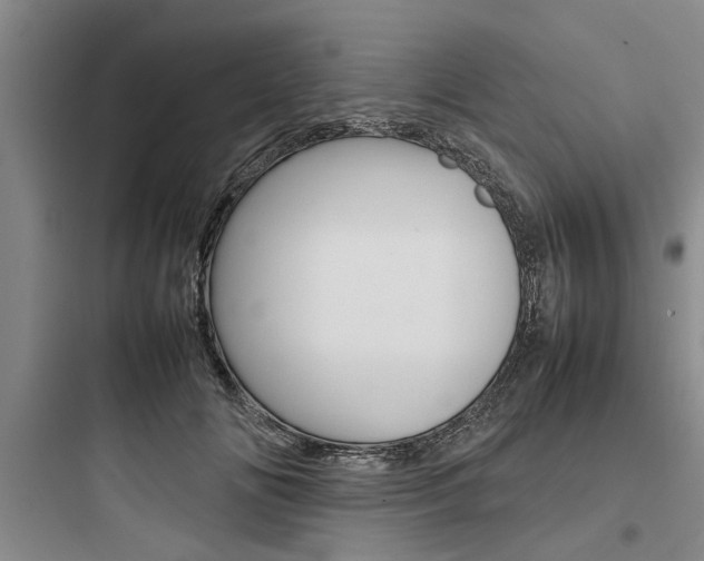 X0000097960702200803241042