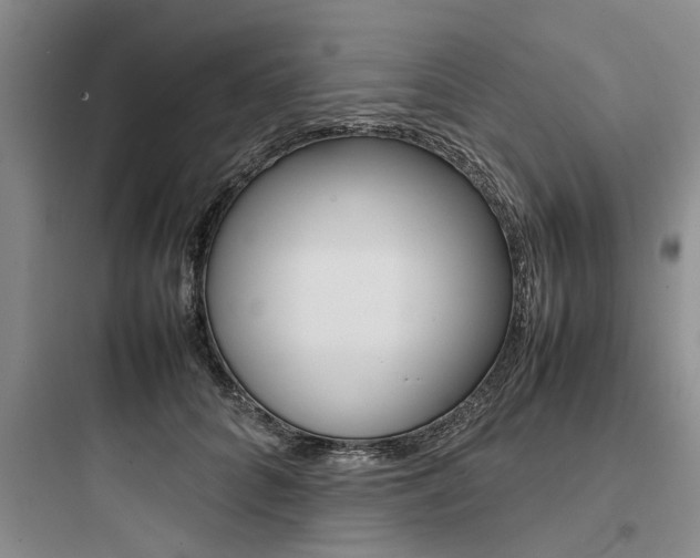 X0000097960704200803241042