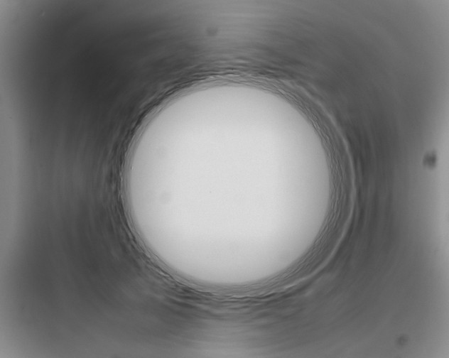 X0000097960705200803241042