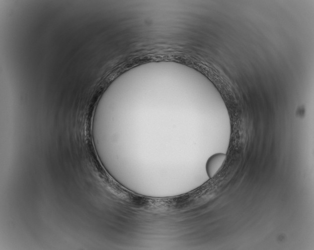 X0000097960706200803241042