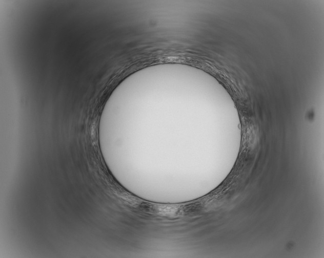X0000097960709200803241042