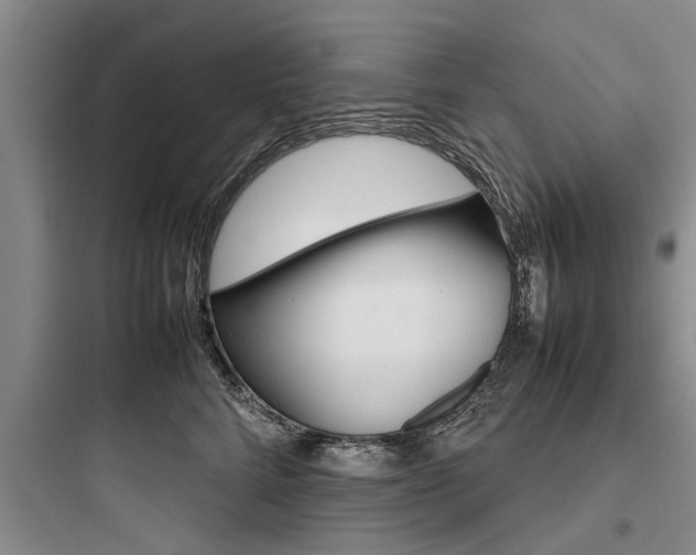 X0000097960712200803241042