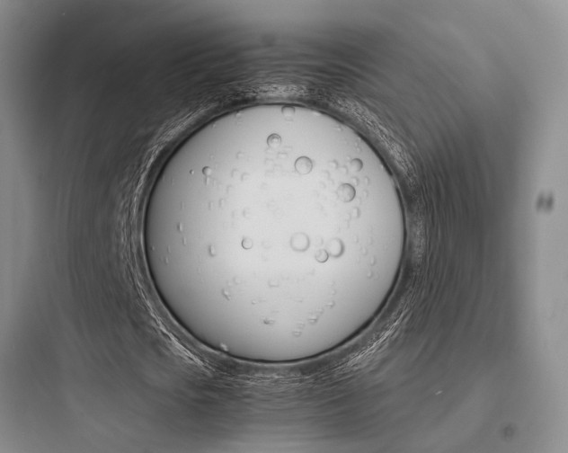 X0000097960721200803241041