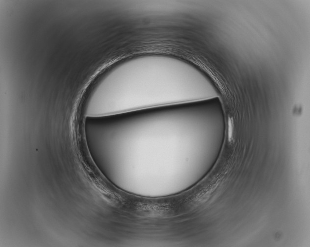 X0000097960723200803241041