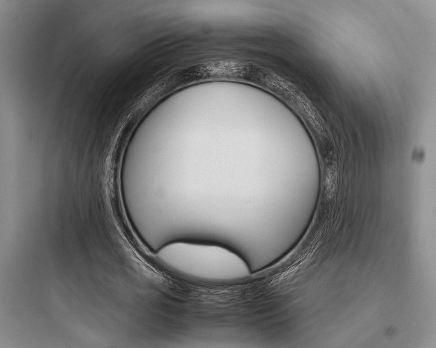 X0000097960725200803241041