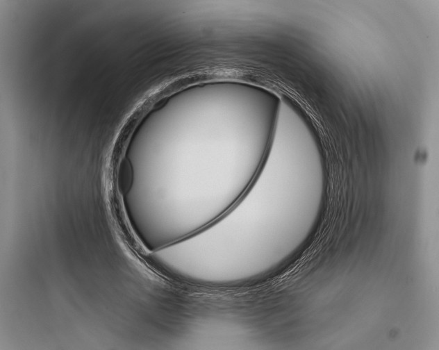 X0000097960726200803241041