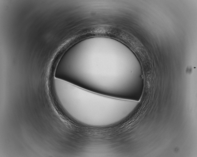 X0000097960728200803241041