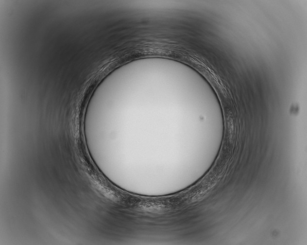 X0000097960729200803241041