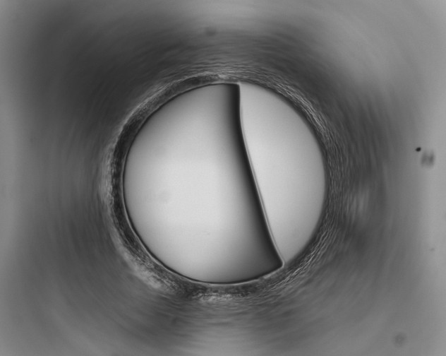X0000097960730200803241041