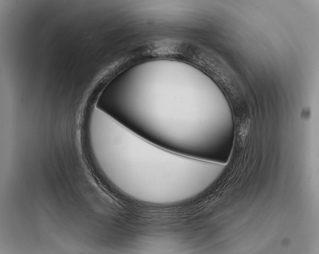 X0000097960732200803241041
