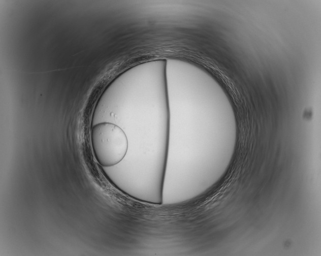 X0000097960734200803241041