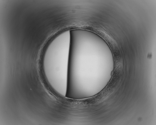 X0000097960736200803241041