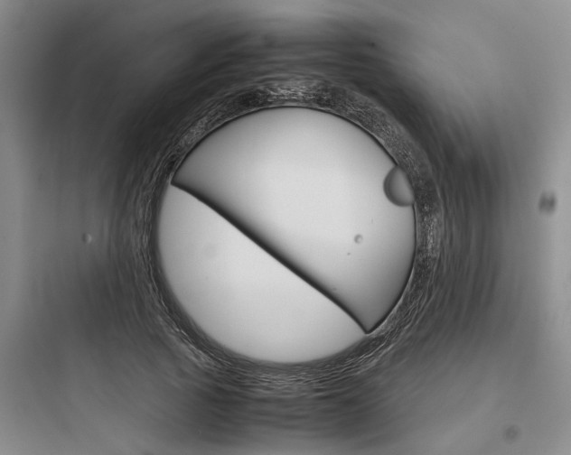 X0000097960737200803241041