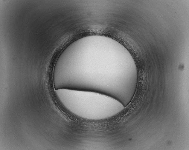 X0000097960738200803241041