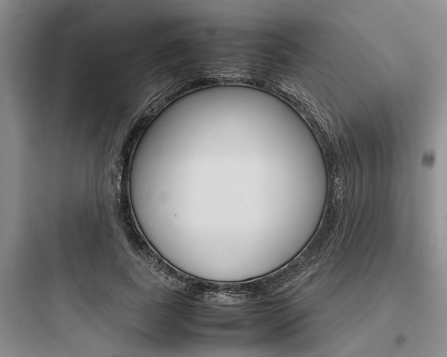 X0000097960739200803241041