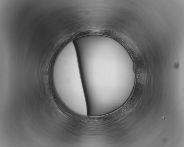 X0000097960740200803241041