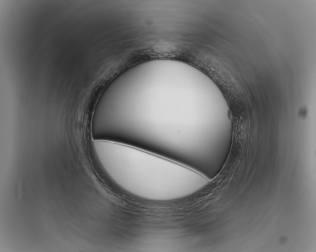 X0000097960742200803241041