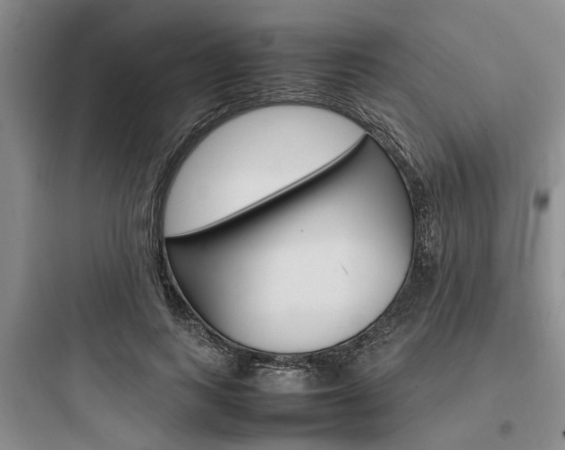 X0000097960743200803241041