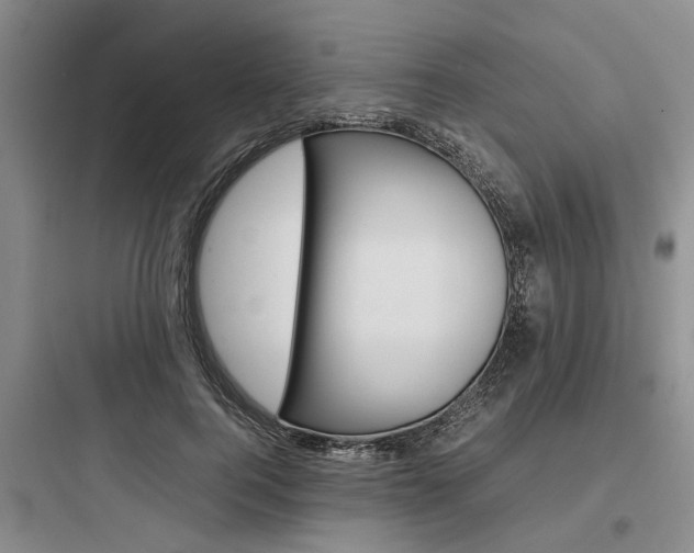 X0000097960744200803241041