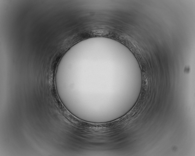 X0000097960745200803241041