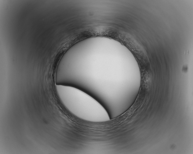X0000097960746200803241041