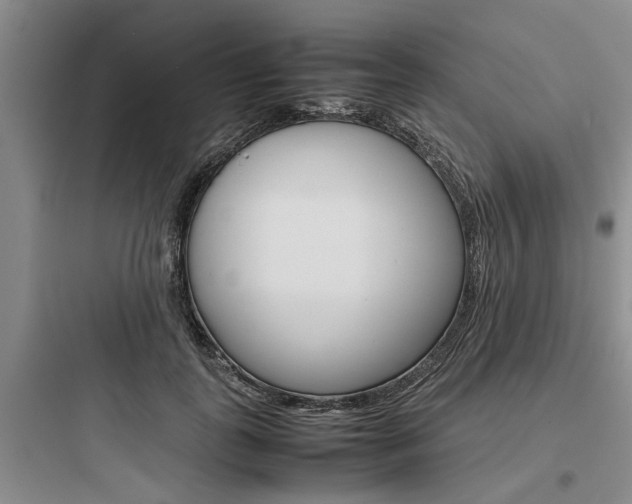 X0000097960747200803241041