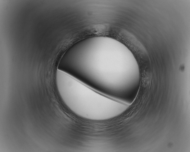 X0000097960748200803241041