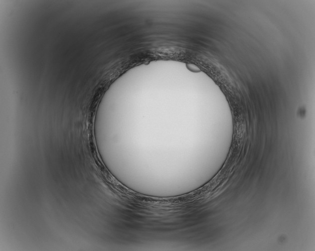 X0000097960749200803241041