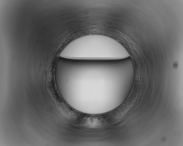 X0000097960751200803241041