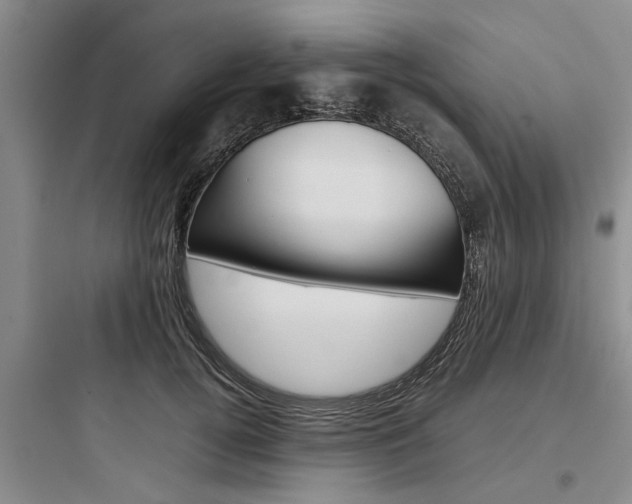 X0000097960752200803241041