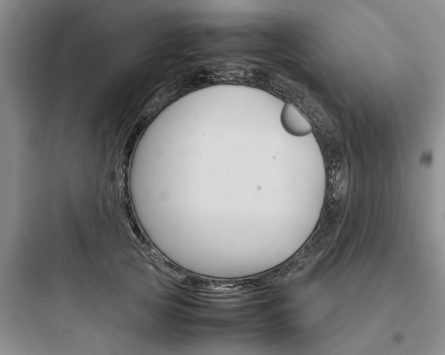 X0000097960753200803241041