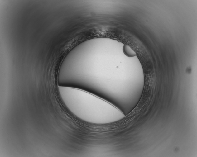 X0000097960754200803241041