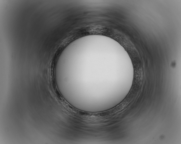 X0000097960755200803241041