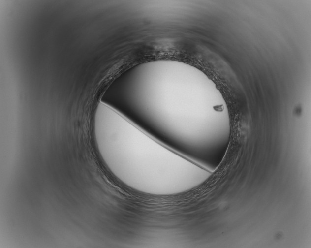 X0000097960756200803241041