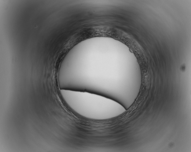 X0000097960757200803241041