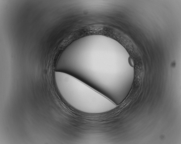 X0000097960758200803241041
