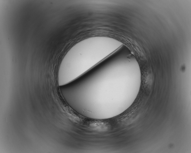 X0000097960759200803241041